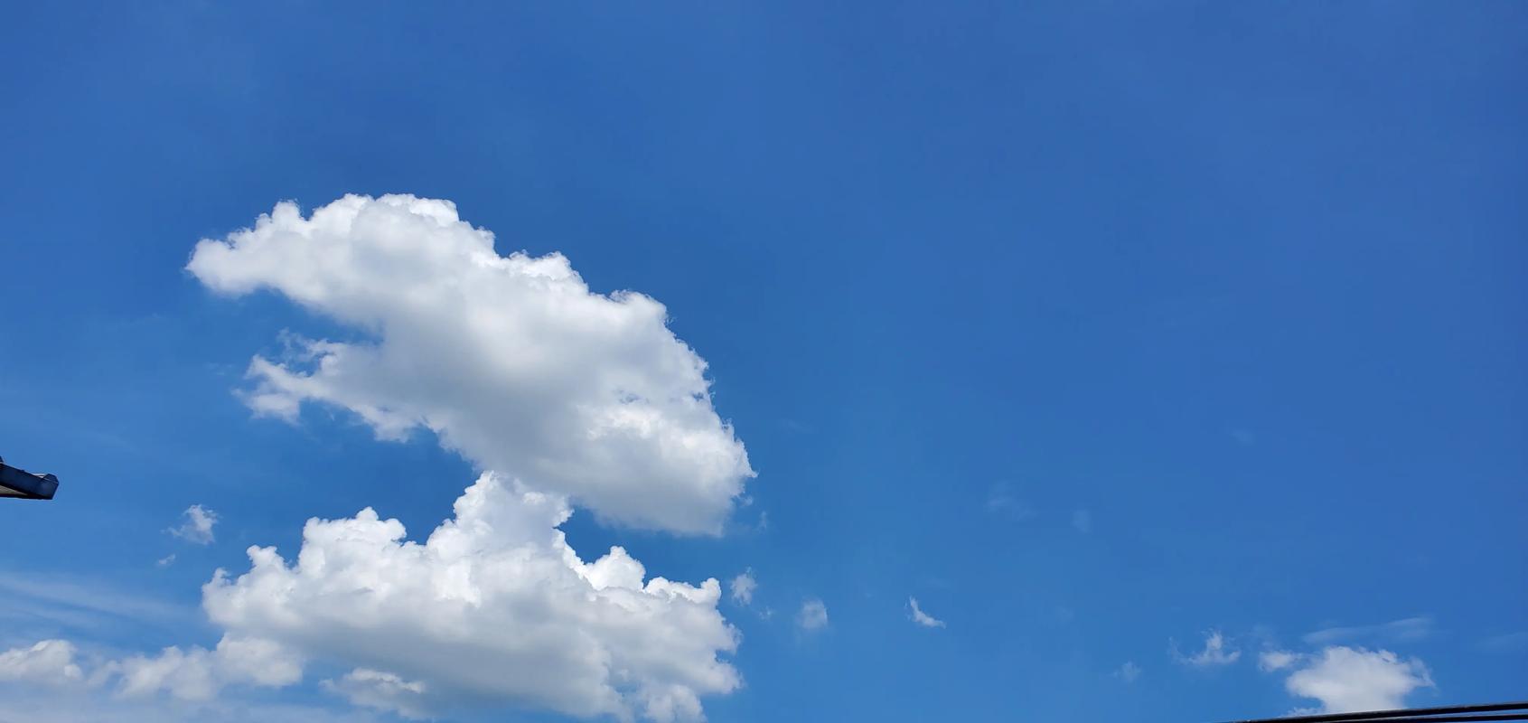 天空蓝生物